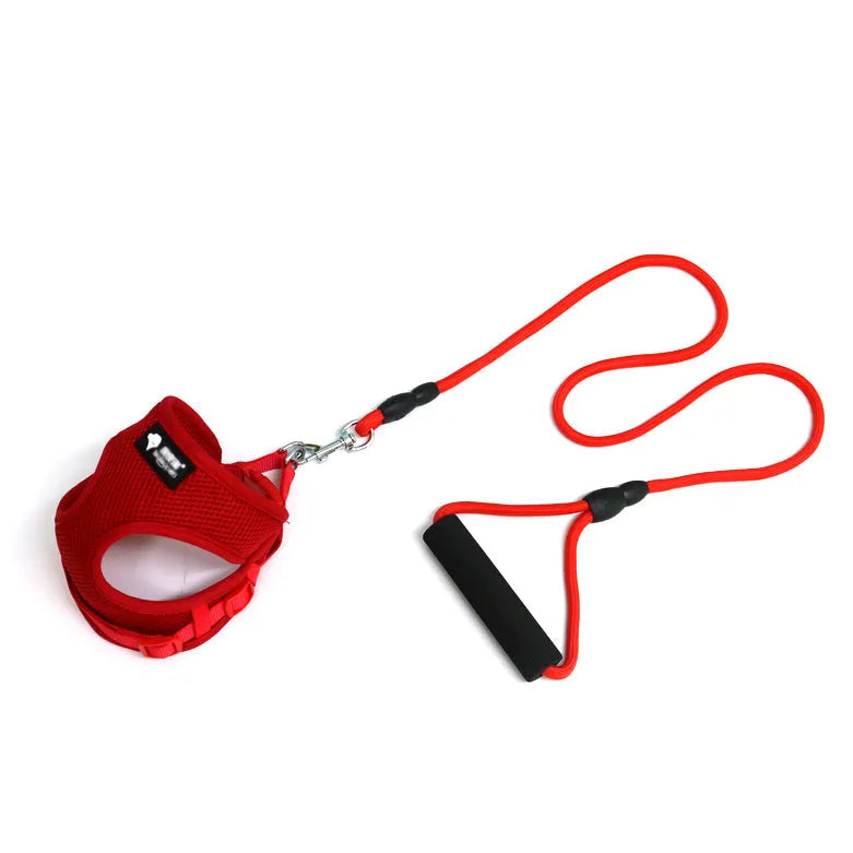 Blue dog leash and collar set with foam handle for small dogs up to 10kg