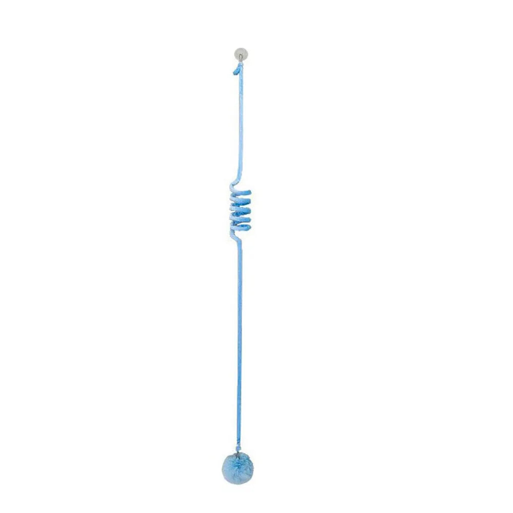 Kitten playing with a spring-mounted hanging ball toy attached to a door by a suction cup.
