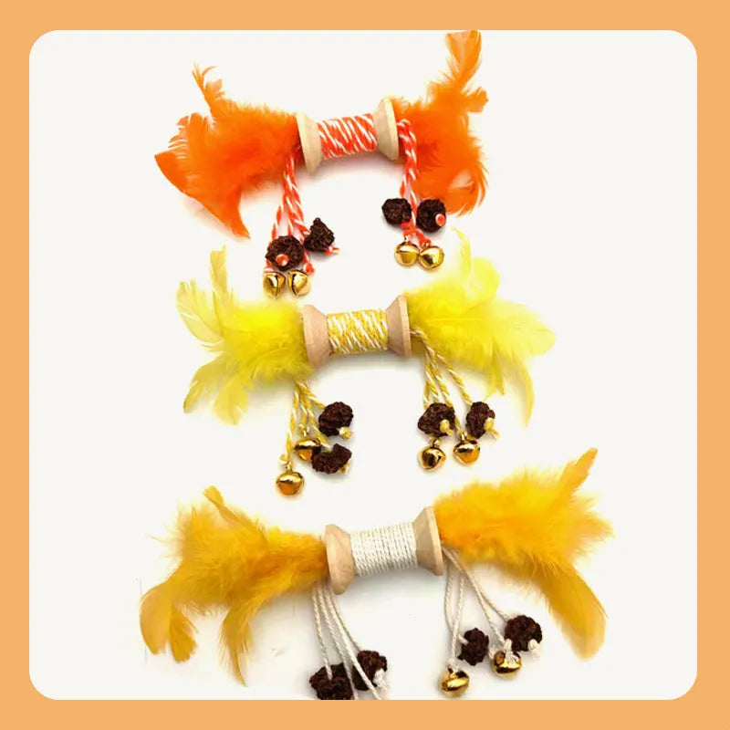 Feather bell gall fruit cat toy in ginger colour with bells and feathers on green background