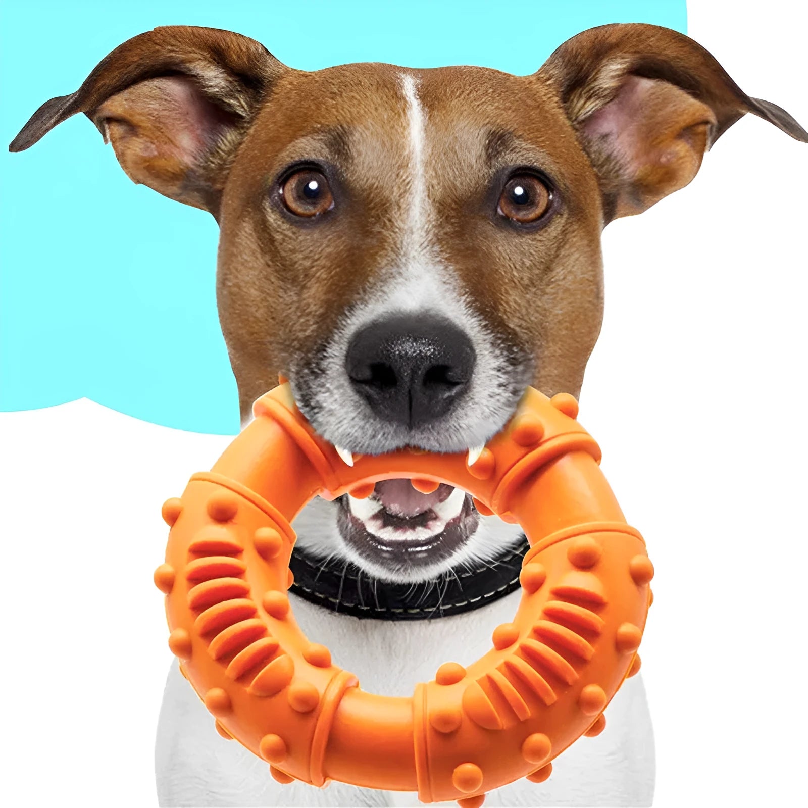 Blue hollow dog fetching stick toy for safe chew and retrieve games with pets