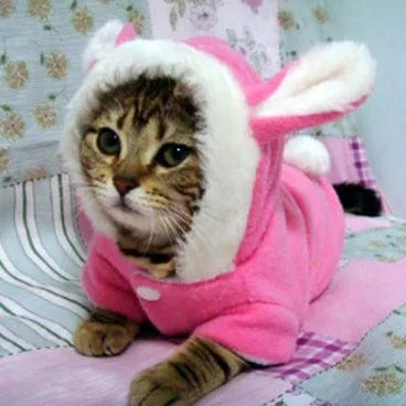 Pink fleece pet cat hoodie jacket with rabbit ear hood for small dogs and cats