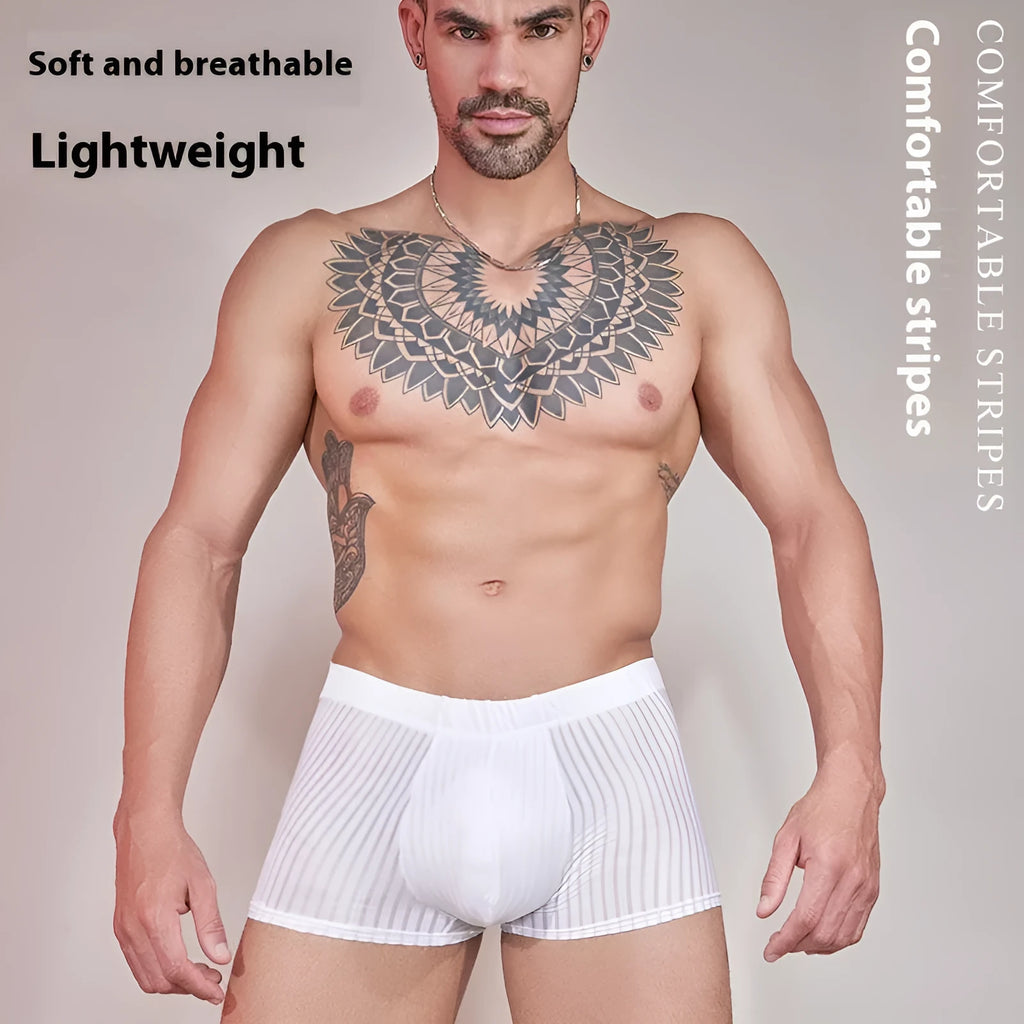 Men's striped transparent nylon underwear in black, white and dark grey colours