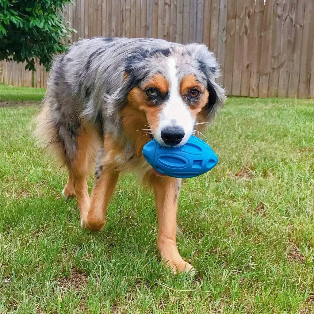 Blue, green, and orange natural rubber squeaky dog chew ball for medium and large breeds