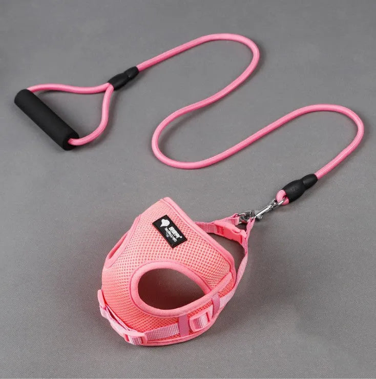 Blue dog leash and collar set with foam handle for small dogs up to 10kg