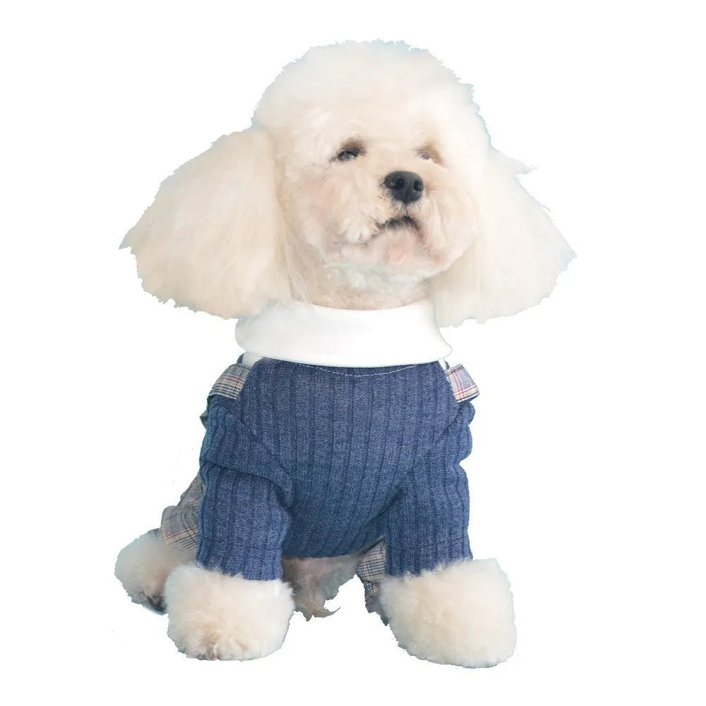 Orange and dark blue cotton shirt for small dogs on a size chart showing S, M, L, XL, 2XL