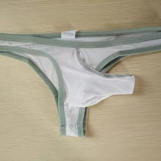 Men's Ice Silk nylon briefs in elephant nose small pouch design, shown in multiple colours.