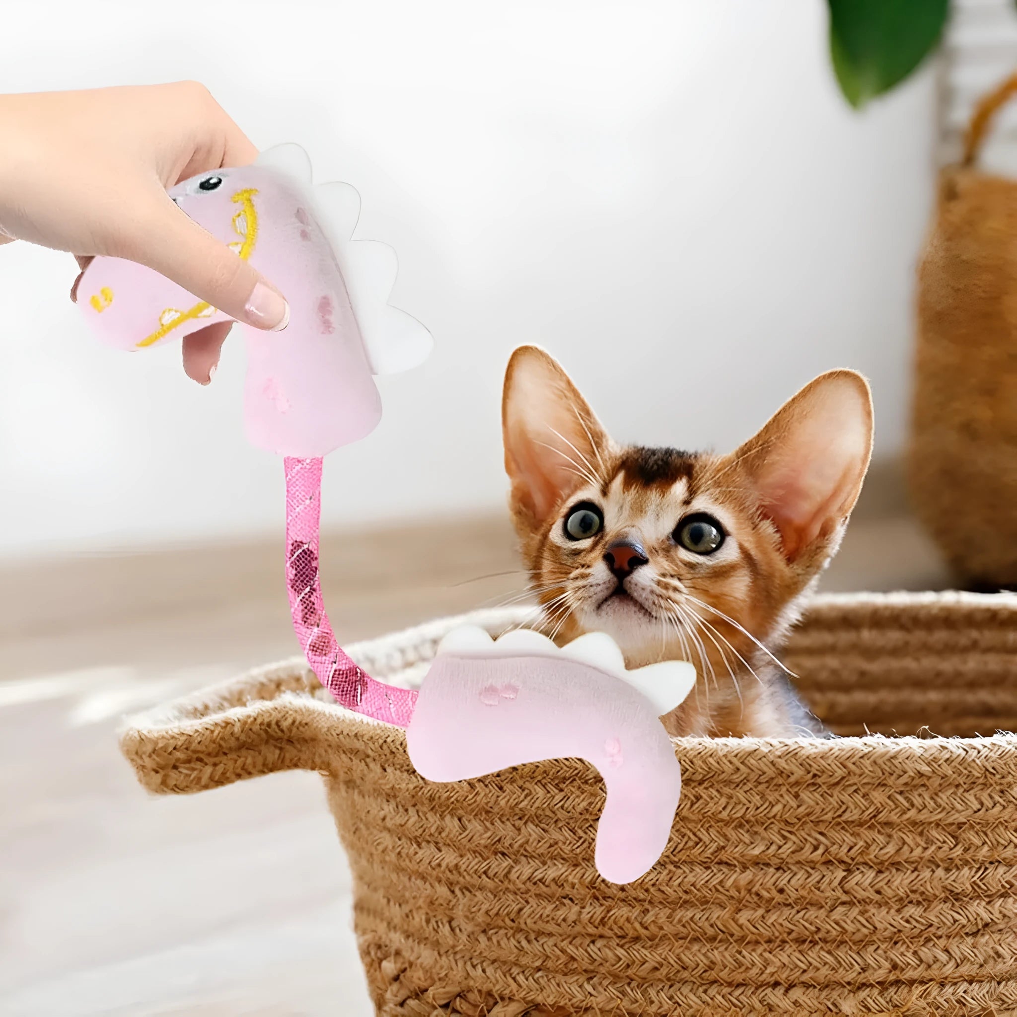 Bundle of four plush cat toys including chew, rope and catnip designs for indoor play