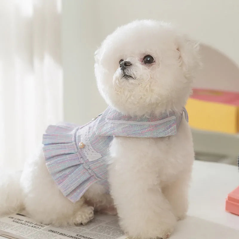 Polyester pet clothes for small dogs and cats in purple and pink colours with four size options