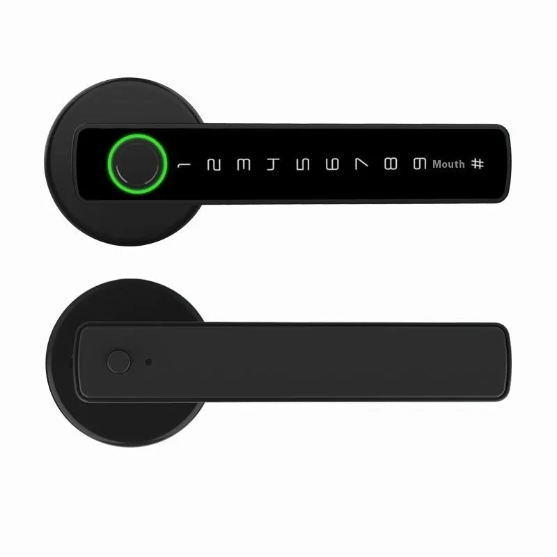Black spherical handle smart door lock with fingerprint scanner and keyhole for wooden interior doors