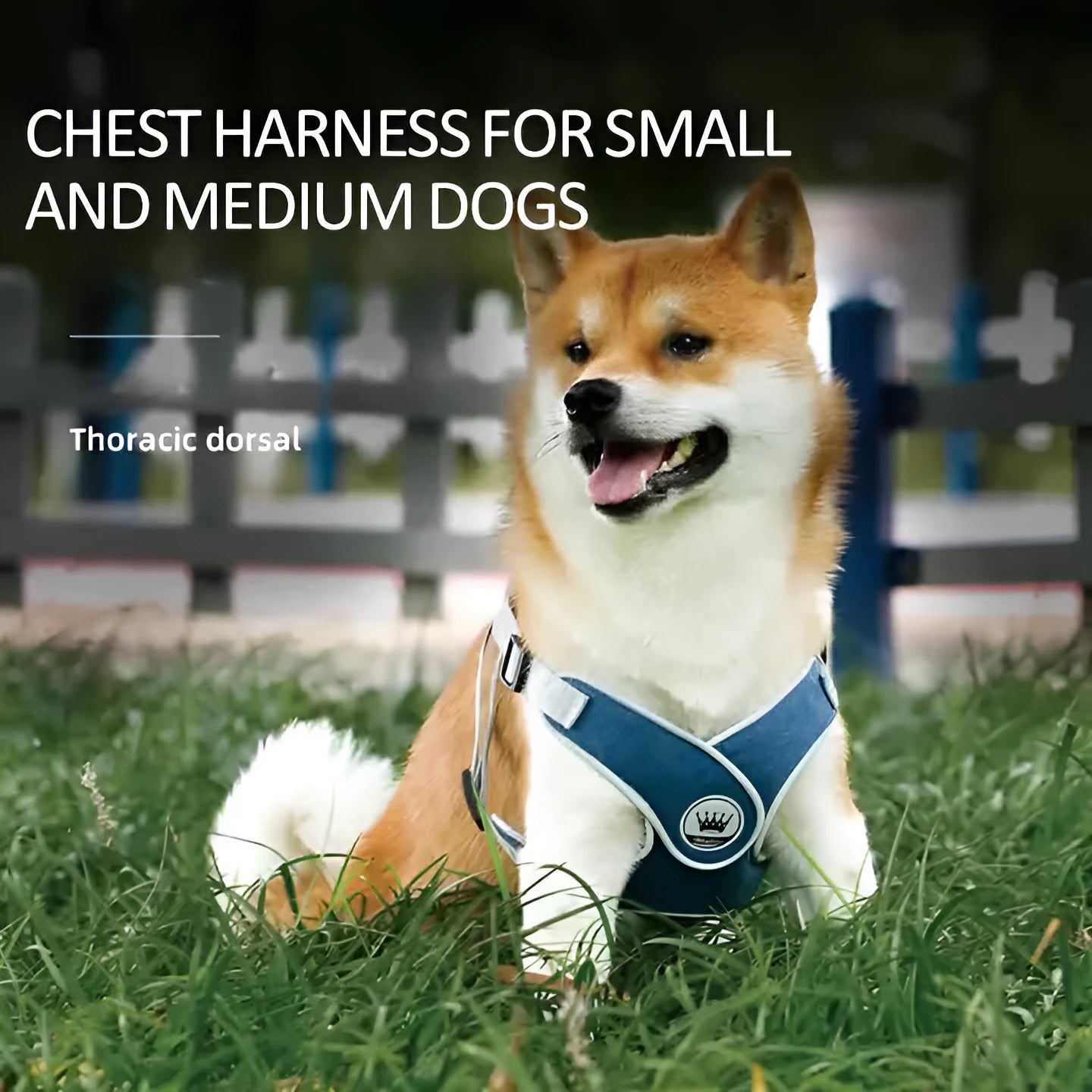 Green adjustable mesh dog harness with reflective strips and a metal D-ring on a dog.