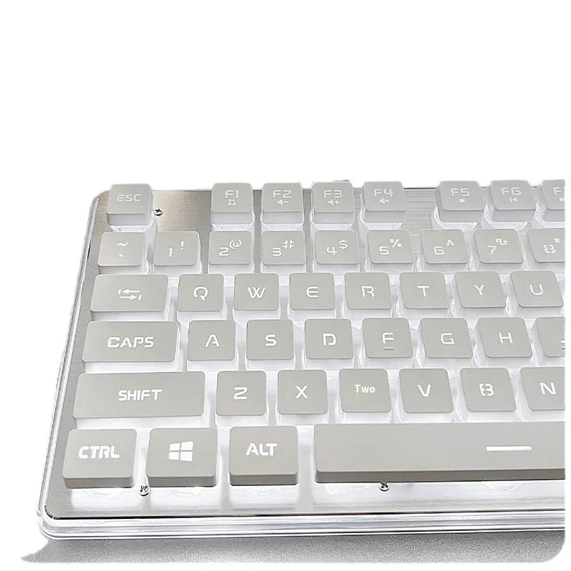 Wired mute mechanical-feel keyboard and gaming mouse combo set on a desk with blue backlighting