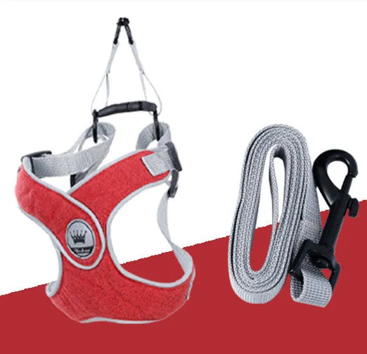 Green adjustable mesh dog harness with reflective strips and a metal D-ring on a dog.