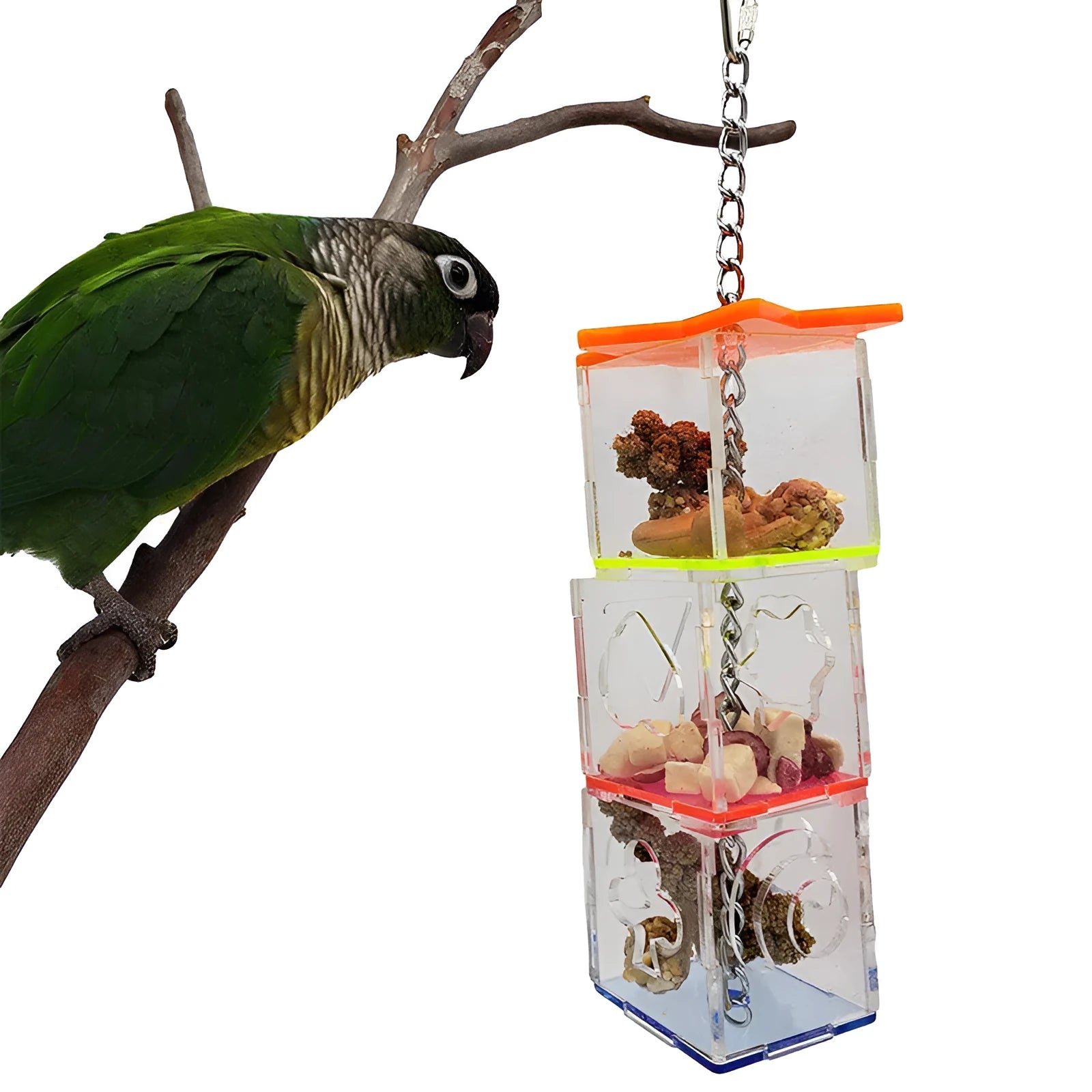 Transparent acrylic parrot foraging toy measuring 5x5x32cm for food containment