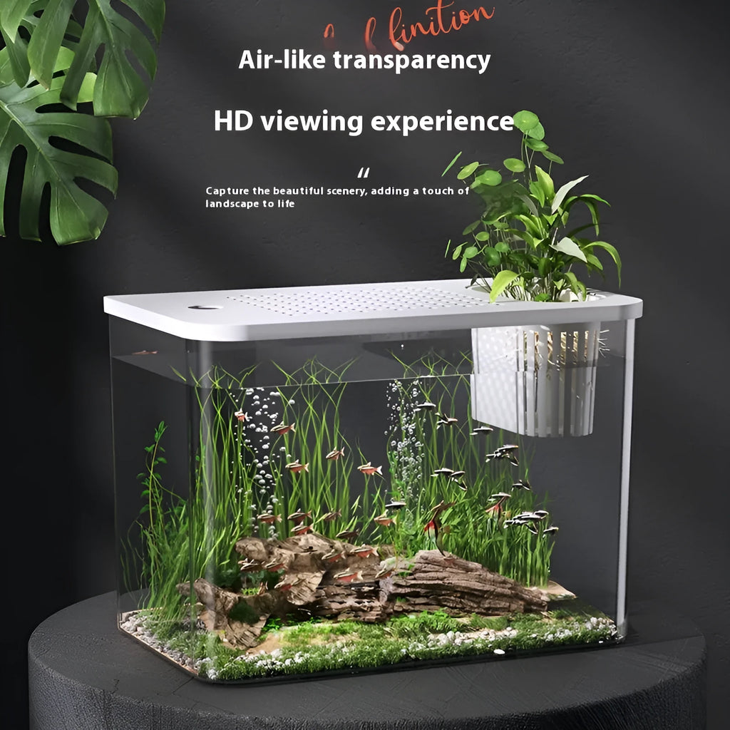Plastic betta fish tank with cover in medium 32cm size for living room use