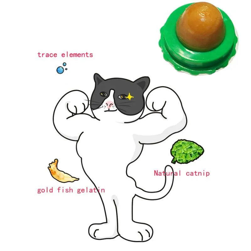 Green and blue cat energy ball lick toy with non-toxic catnip and yellowfish gelatin for indoor cats
