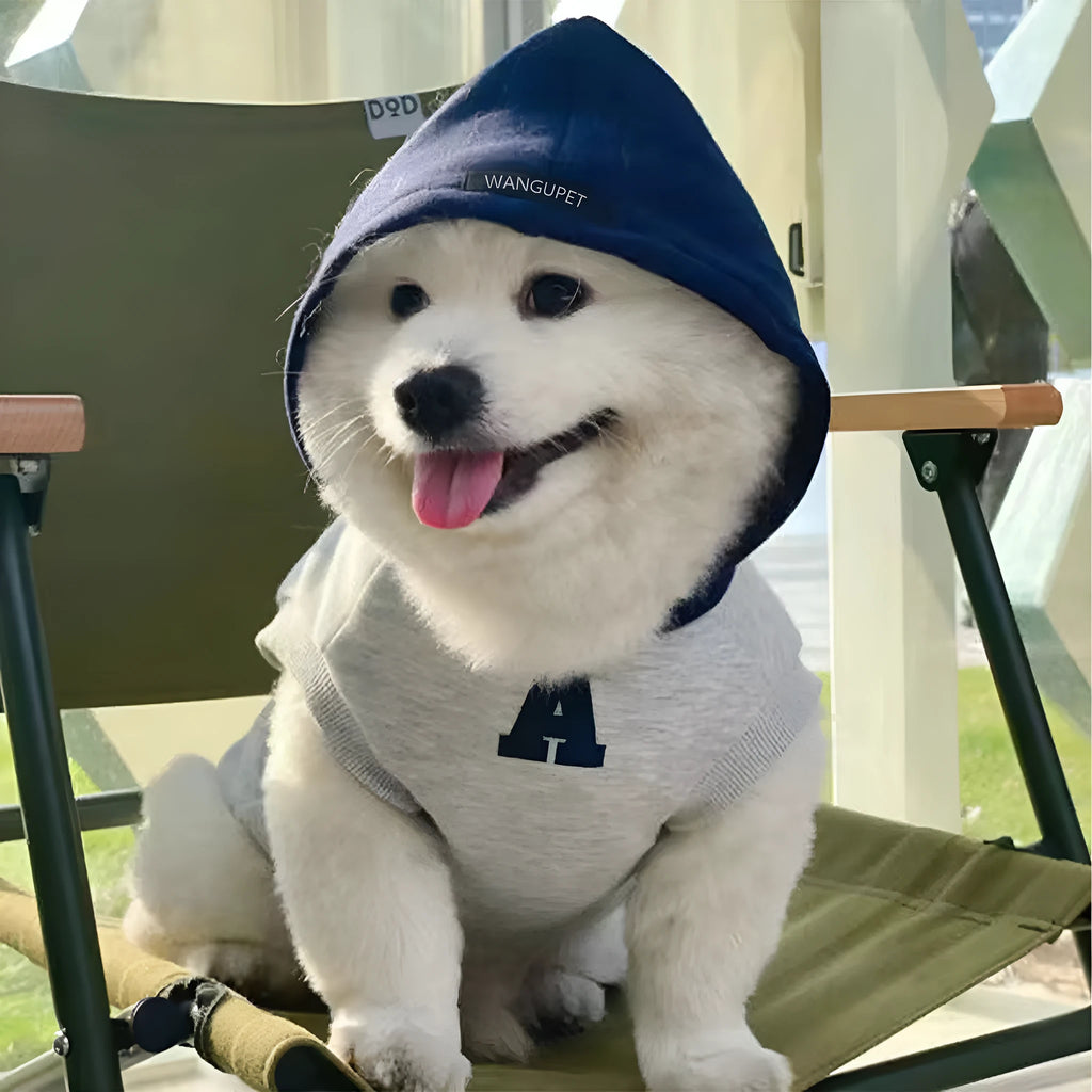 Blue and grey-white pet hoodie with reflective lettering for cats and dogs