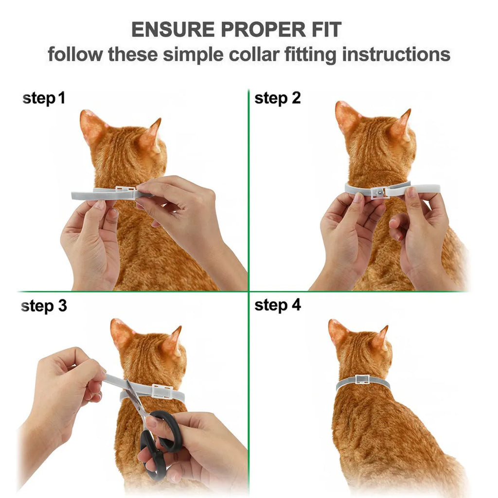 Gray TPE pet insect repellent adjustable collar for cats and dogs