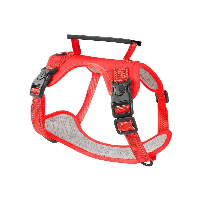 Polyester dog chest harness with attached leash in assorted colours on a white background.