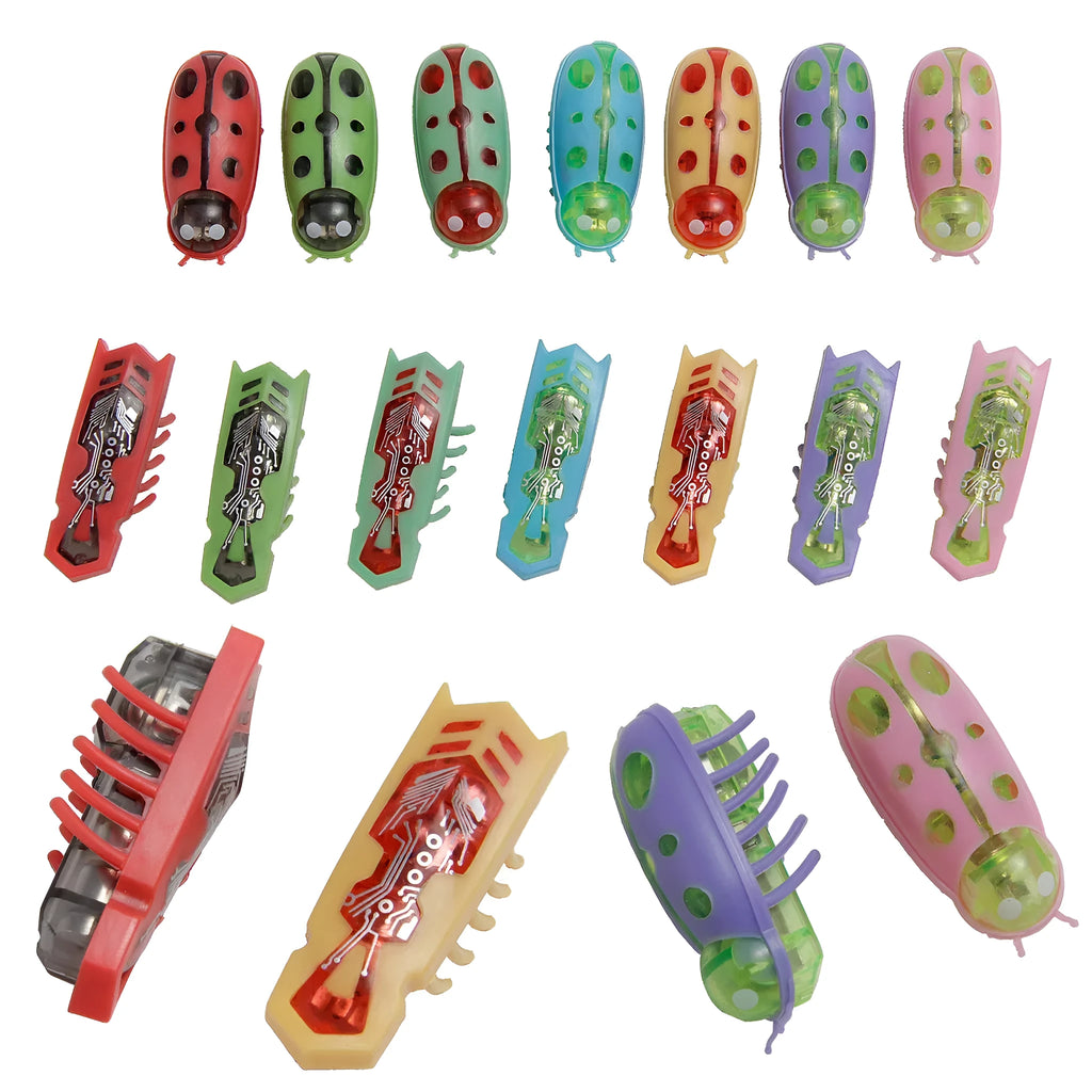 Miniature electric ladybird beetle cat toy on floor showing size and insect shape