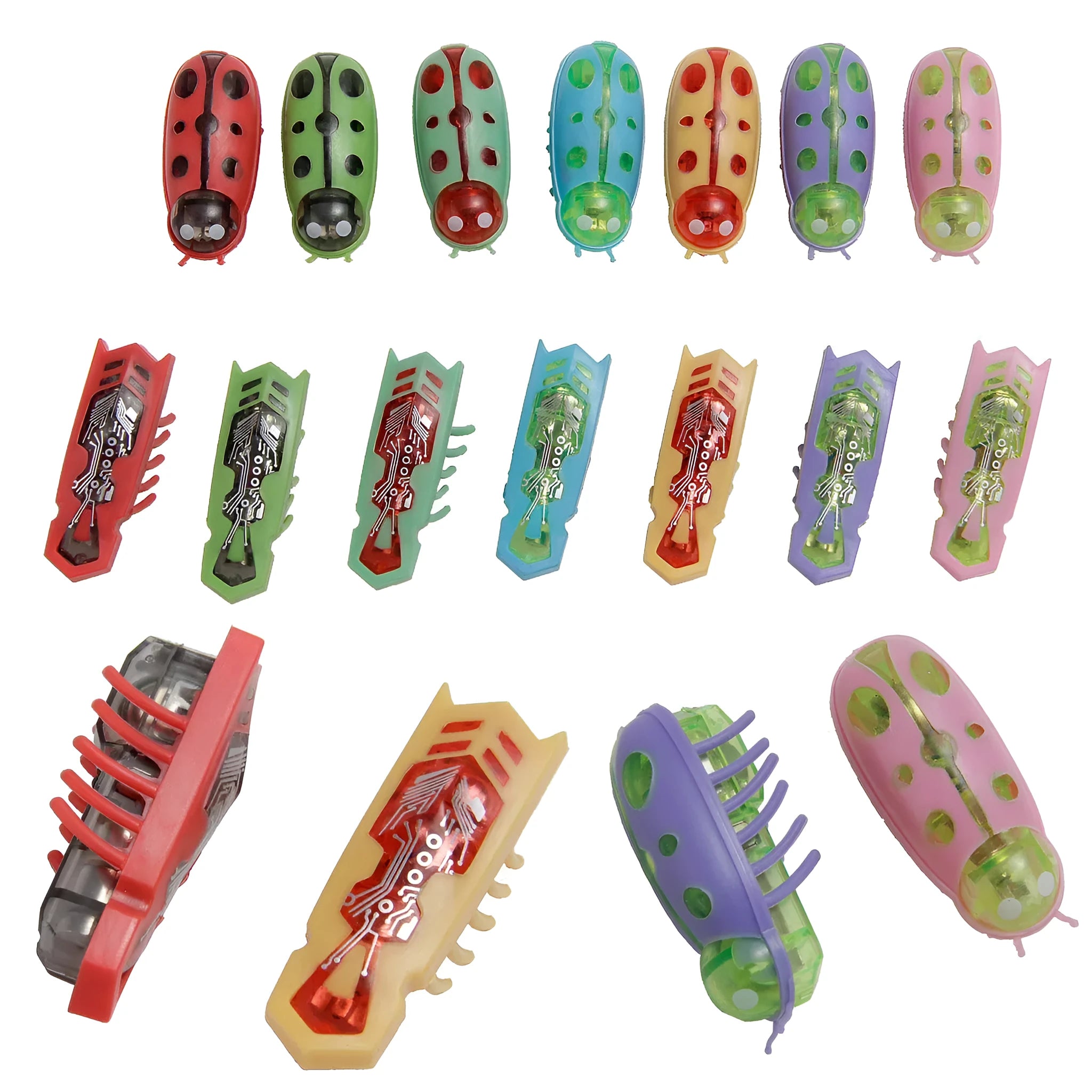 Miniature electric ladybird beetle cat toy on floor showing size and insect shape