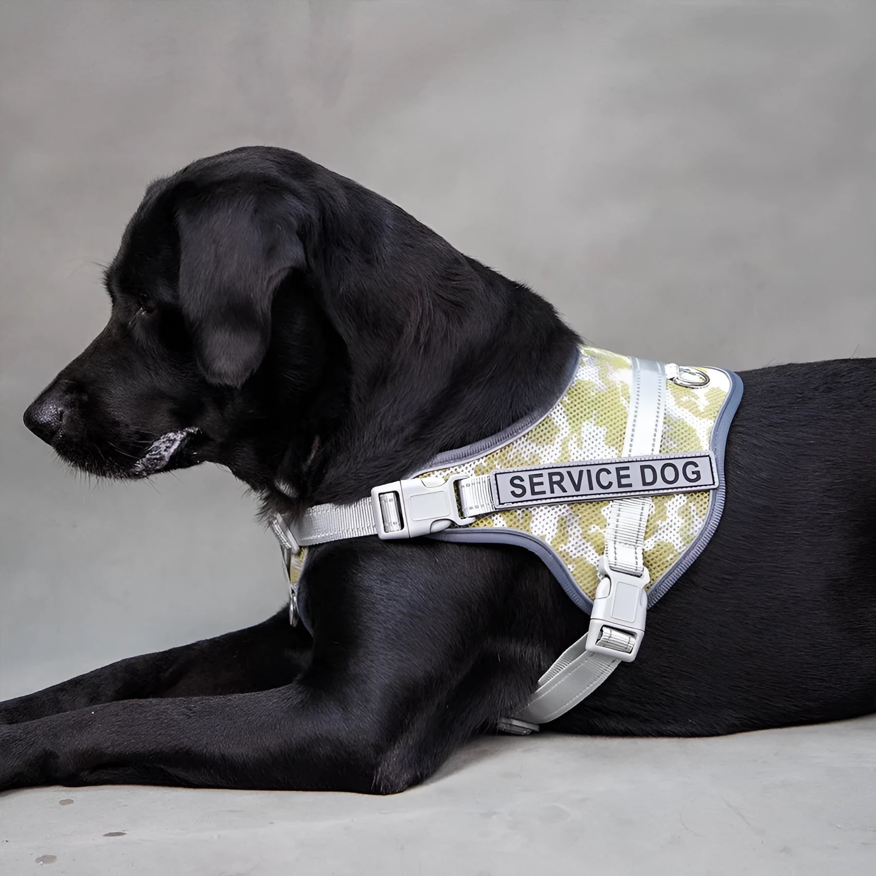 Colourful reflective anti-strangulation pet harness made from polyester in multiple sizes for dogs
