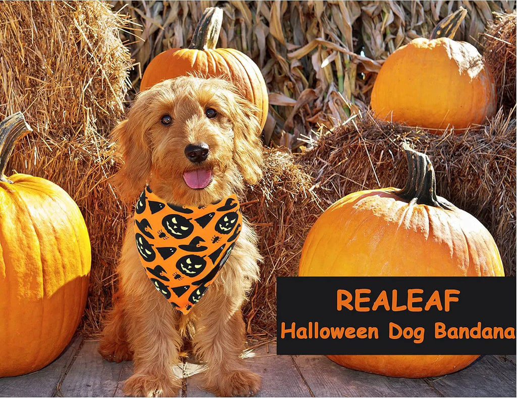 Black and orange reversible triangle dog bandana with Halloween pumpkin and spider web patterns.