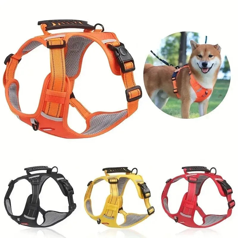 Polyester dog chest harness with attached leash in assorted colours on a white background.