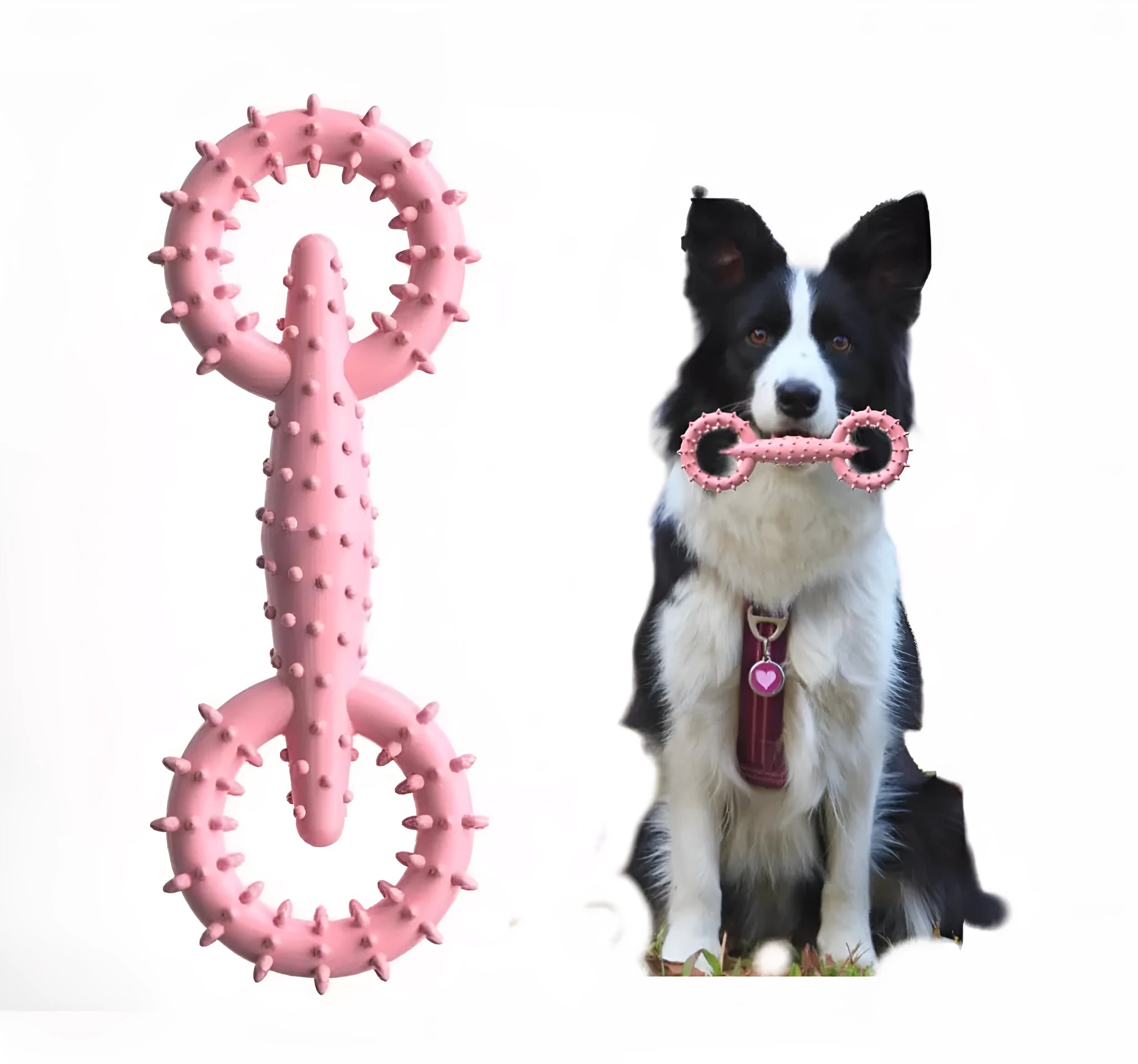 TPR dog chew toy ring for teething puppies in blue, green or pink colours measuring 16x5.8cm