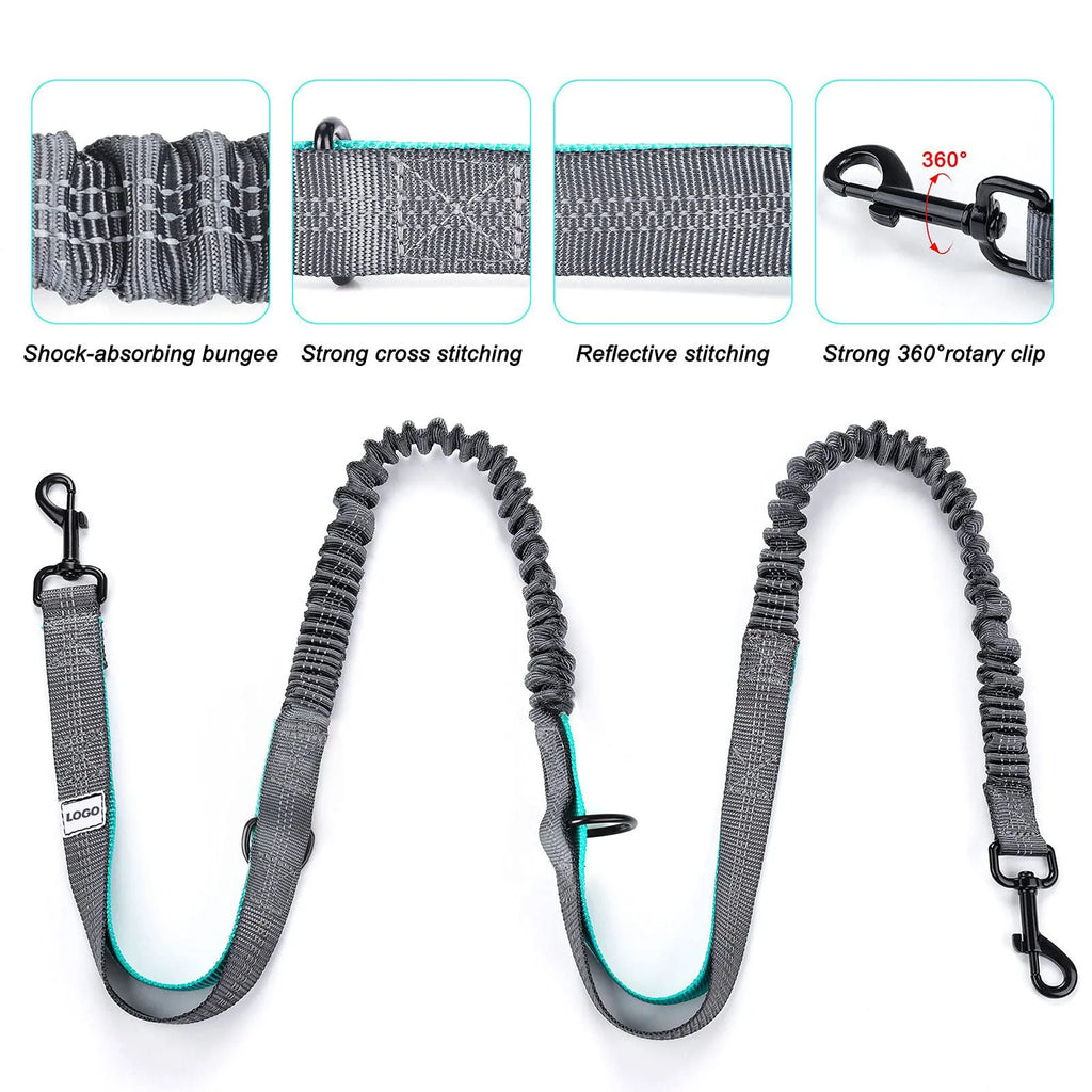 Black nylon dog walking waist bag with attached leash and collar for outdoor training