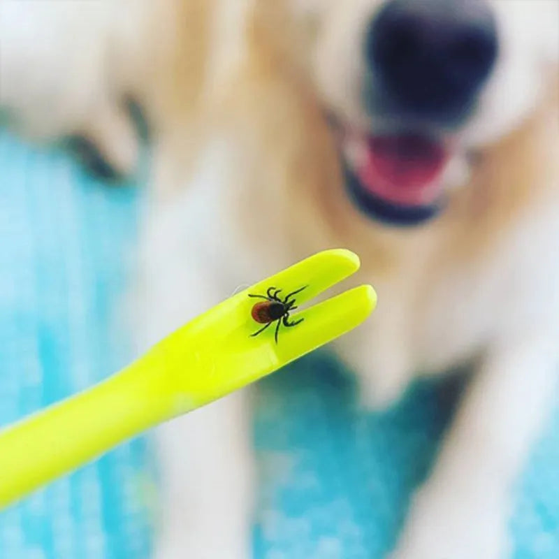 Three blue plastic tick removal clips for dogs and cats on a white background.