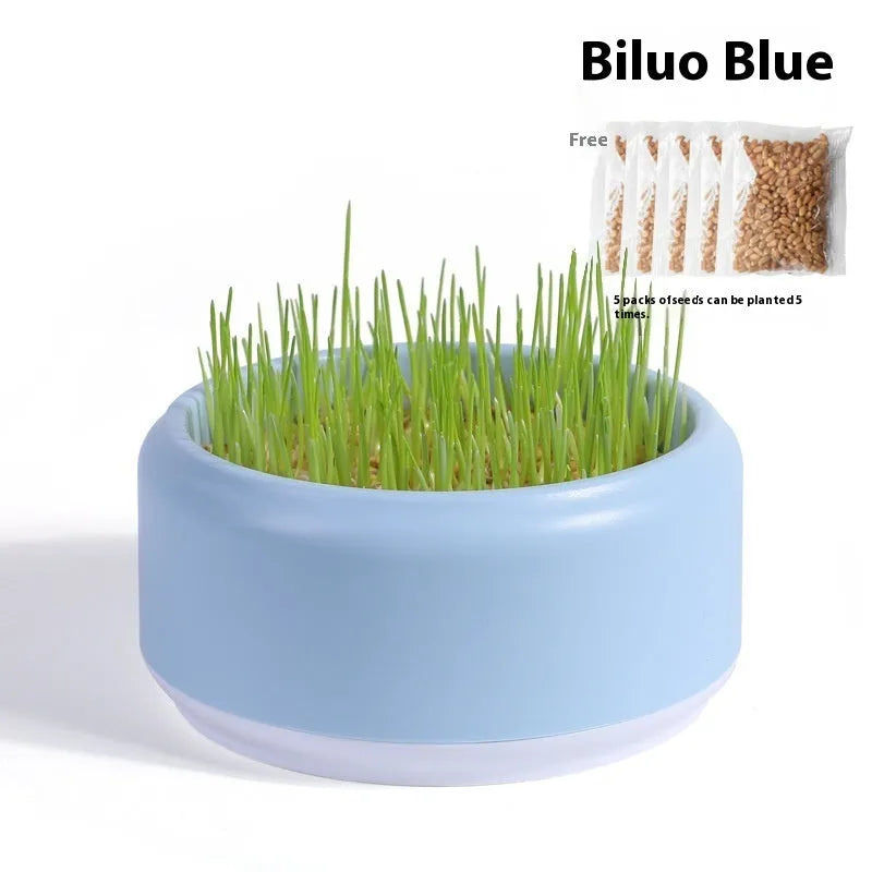Hydroponic cat grass kit with plastic growing cup and five seed packs for soilless indoor pet grass cultivation