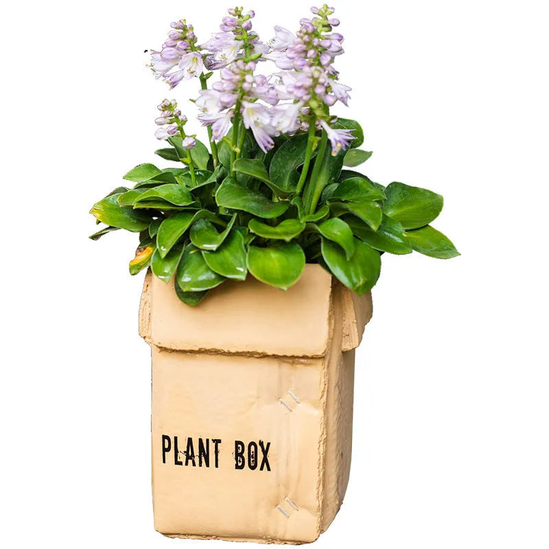 Cement flowerpot with bottom perforation in Nordic style for indoor balcony planting