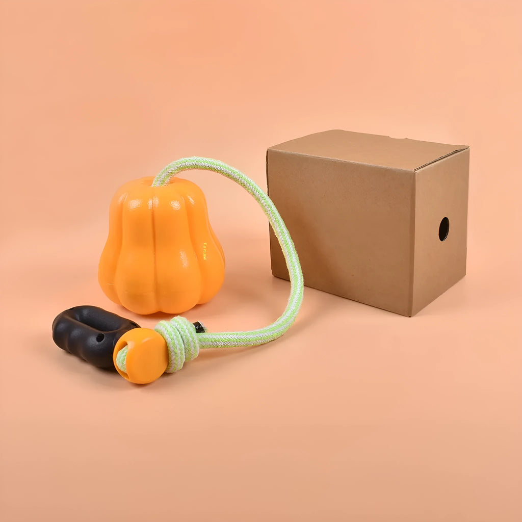 Orange plastic pumpkin dog toy with rope attachment for chewing and throwing games