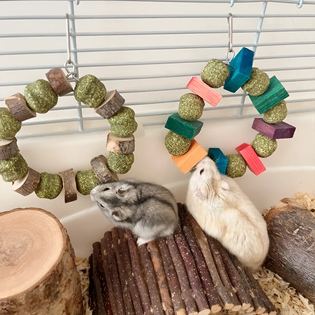 Hamster toy with Applewood straw ball ring for guinea pig and rabbit dental care and enrichment