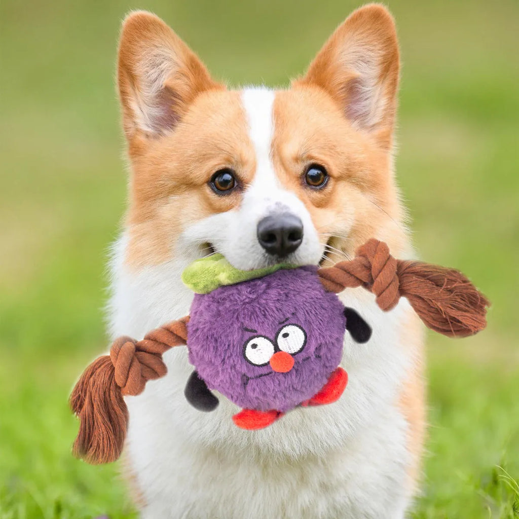 Green and purple interactive plush dog toy with rope knots for tug of war.