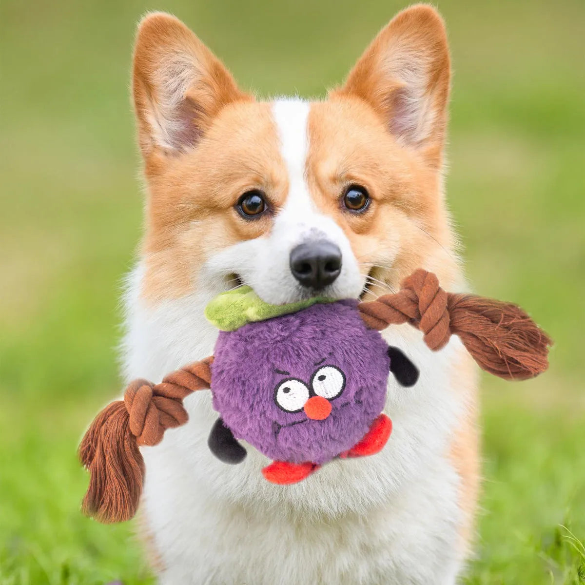 Green and purple interactive plush dog toy with rope knots for tug of war.