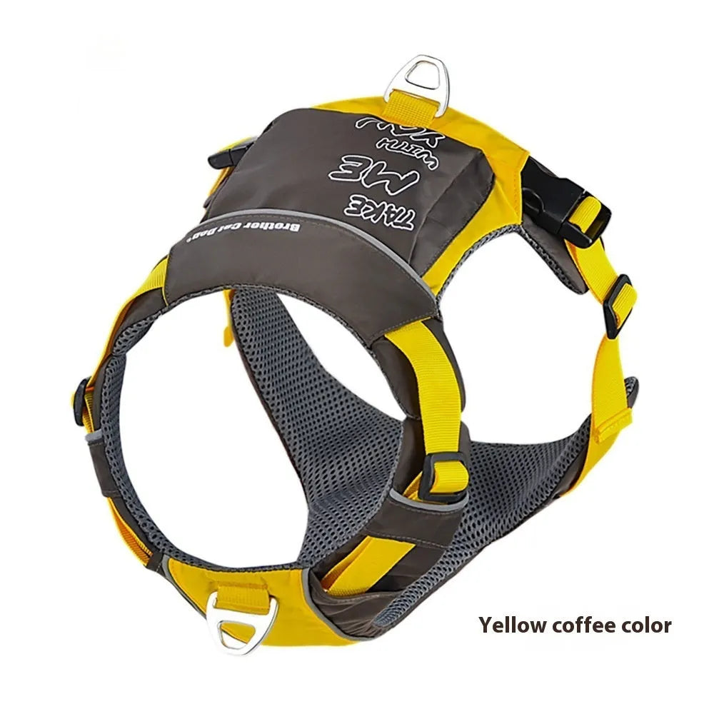 Orange blue nylon dog chest strap vest with hand rope lead shown on medium-sized dog
