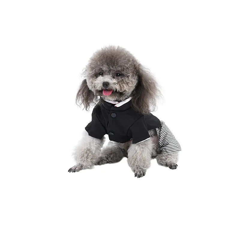 Seasonal poodle clothes in cotton skirt or four-legged pants styles available in sizes S to XL