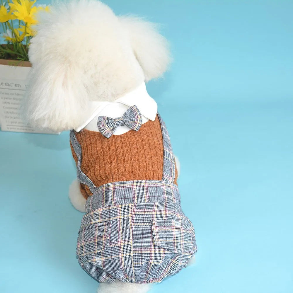 Orange and dark blue cotton shirt for small dogs on a size chart showing S, M, L, XL, 2XL