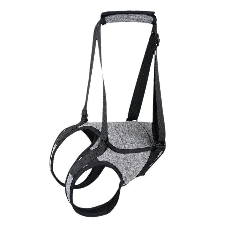 Grey neoprene dog rear leg recovery support belt with adjustable straps shown on size chart.