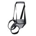 Grey neoprene dog rear leg recovery support belt with adjustable straps shown on size chart.
