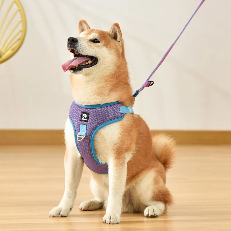 Adjustable mesh dog harness with reflective piping in black, red, gray, or light purple colours