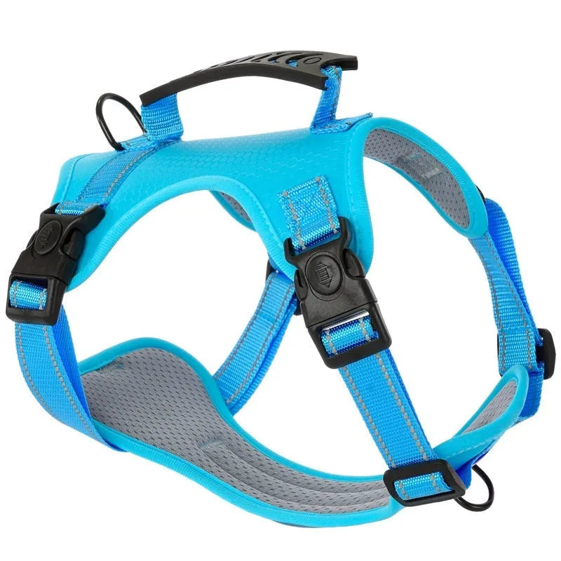 Polyester dog chest harness with attached leash in assorted colours on a white background.