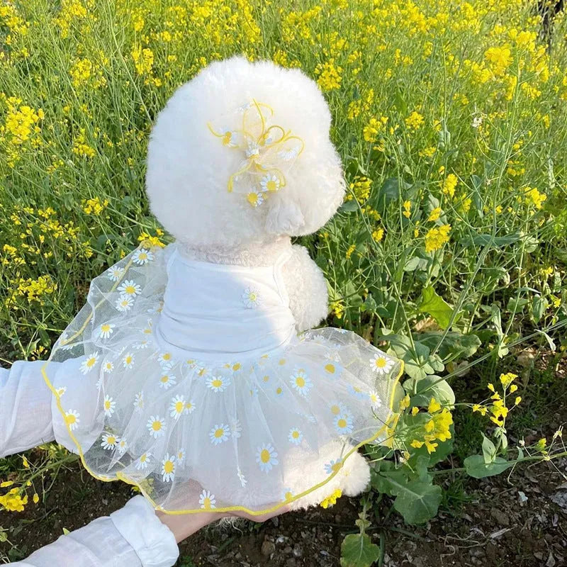 Yellow daisy print dog clothes for summer in lightweight polyester fabric