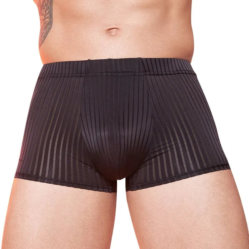 Men's striped transparent nylon underwear in black, white and dark grey colours