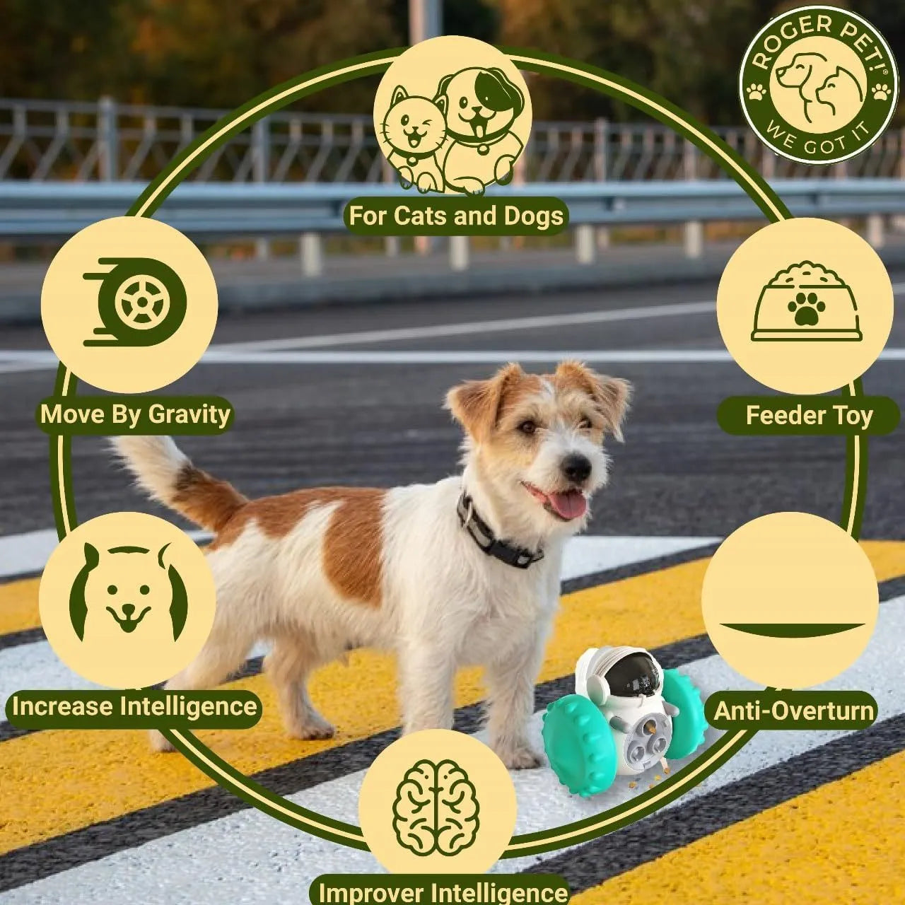 Interactive dog treat dispenser toy for small breeds in various colours with tumbler design