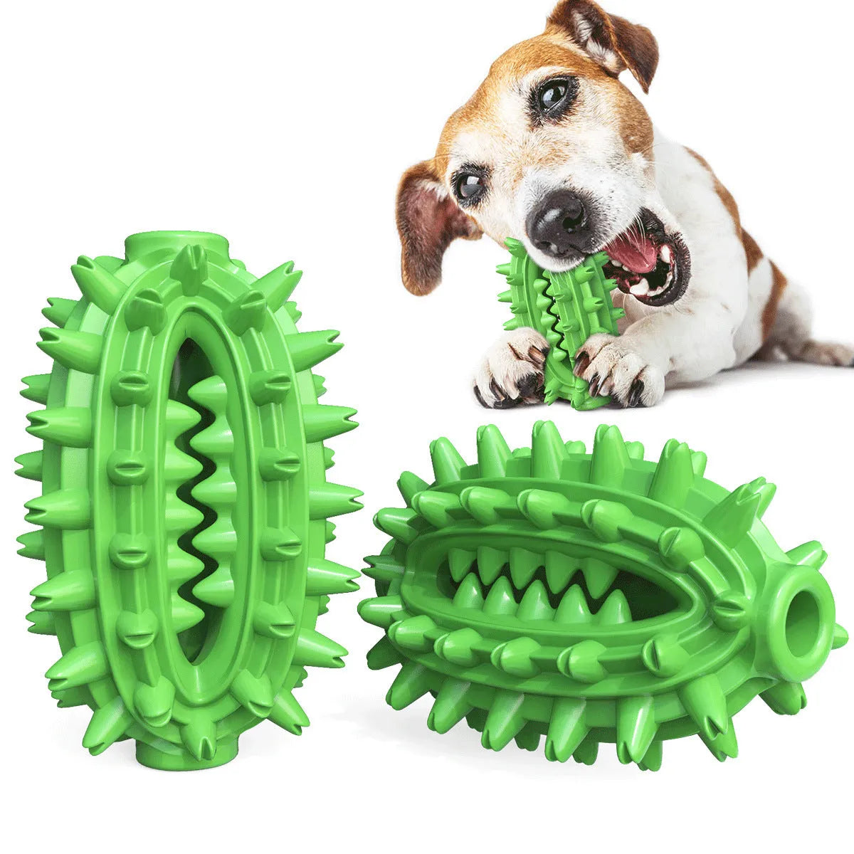 Green cactus-shaped dog toothbrush toy for medium to large aggressive chewers with dental polishing bumps