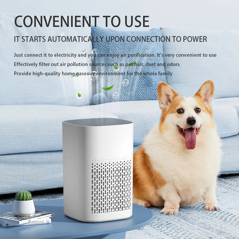 Desktop air purifier unit with simple styling and USB power connection