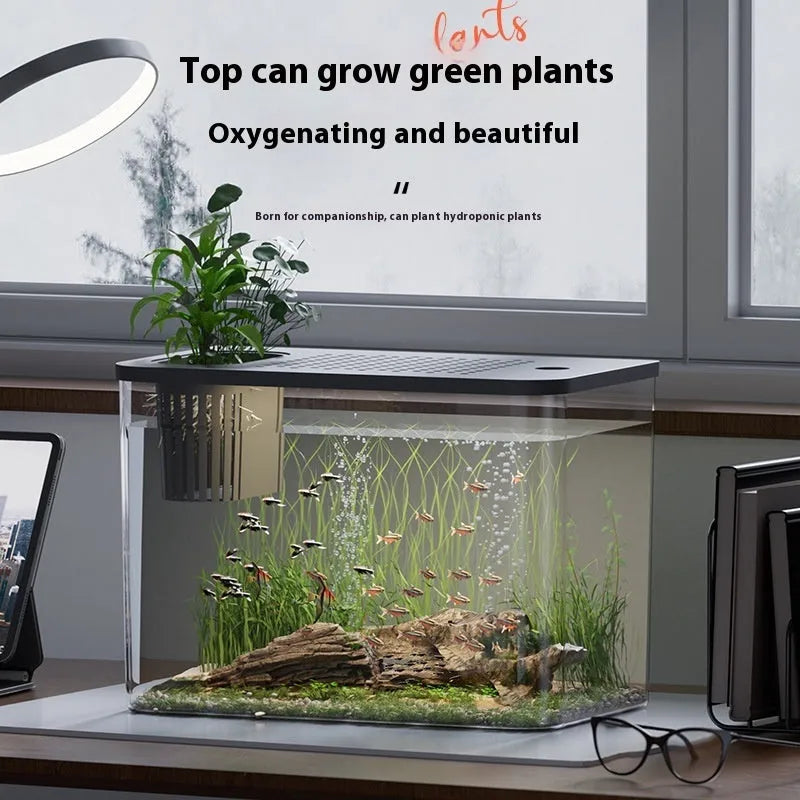 Plastic betta fish tank with cover in medium 32cm size for living room use