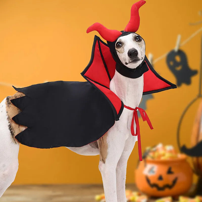 Black polyester Halloween vampire cloak and hat costume set for cats and dogs